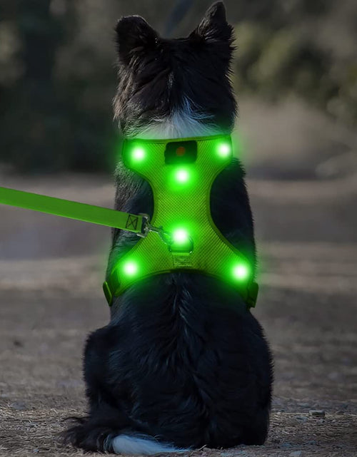 Load image into Gallery viewer, LED Dog Harness, Lighted up USB Rechargeable Pet Harness, Illuminated Reflective Glowing Dog Vest Adjustable Soft Padded No-Pull Suit for Small, Medium, Large Dogs (Green, S)
